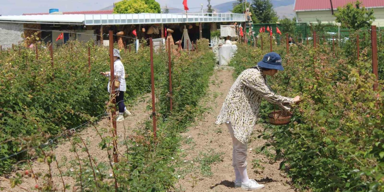Hobi olarak başladı, taleplere yetişemiyor