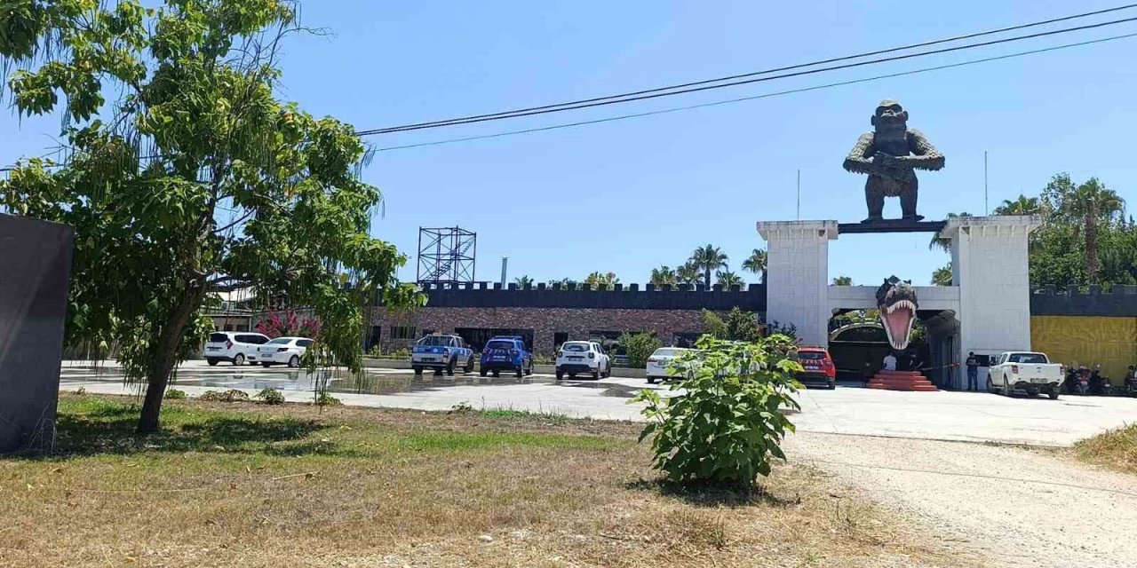 Aslanın kaçtığı hayvanat bahçesi mühürlendi