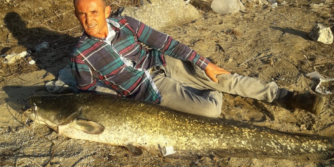 Amatör balıkçı boyundan büyük balık yakaladı