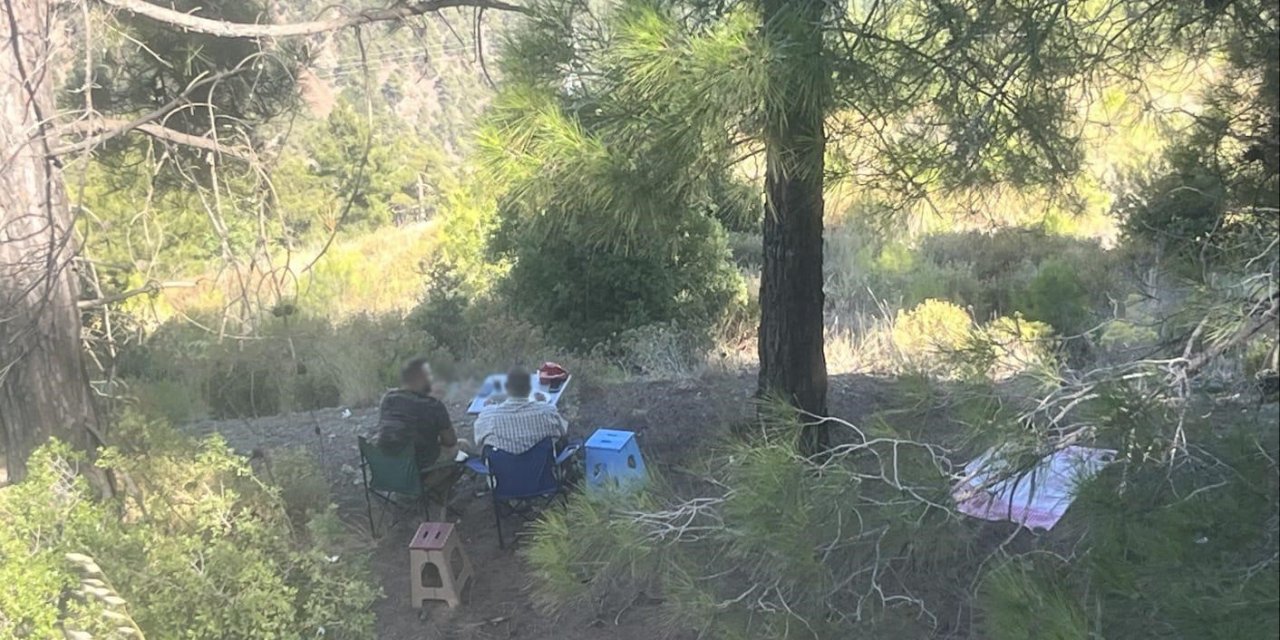 Yasak bölgeye pikniğe gittiler, mangal yerine ceza yediler