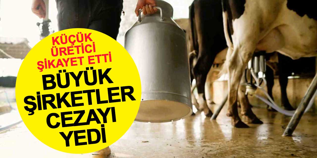 Küçük üretici şikayet etti, 4 büyük şirkete ceza kesildi