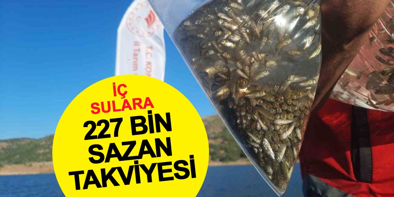 Konya Bozkır'da 227 Bin Yavru Sazan Balığı Baraj ve Göletlere Bırakıldı