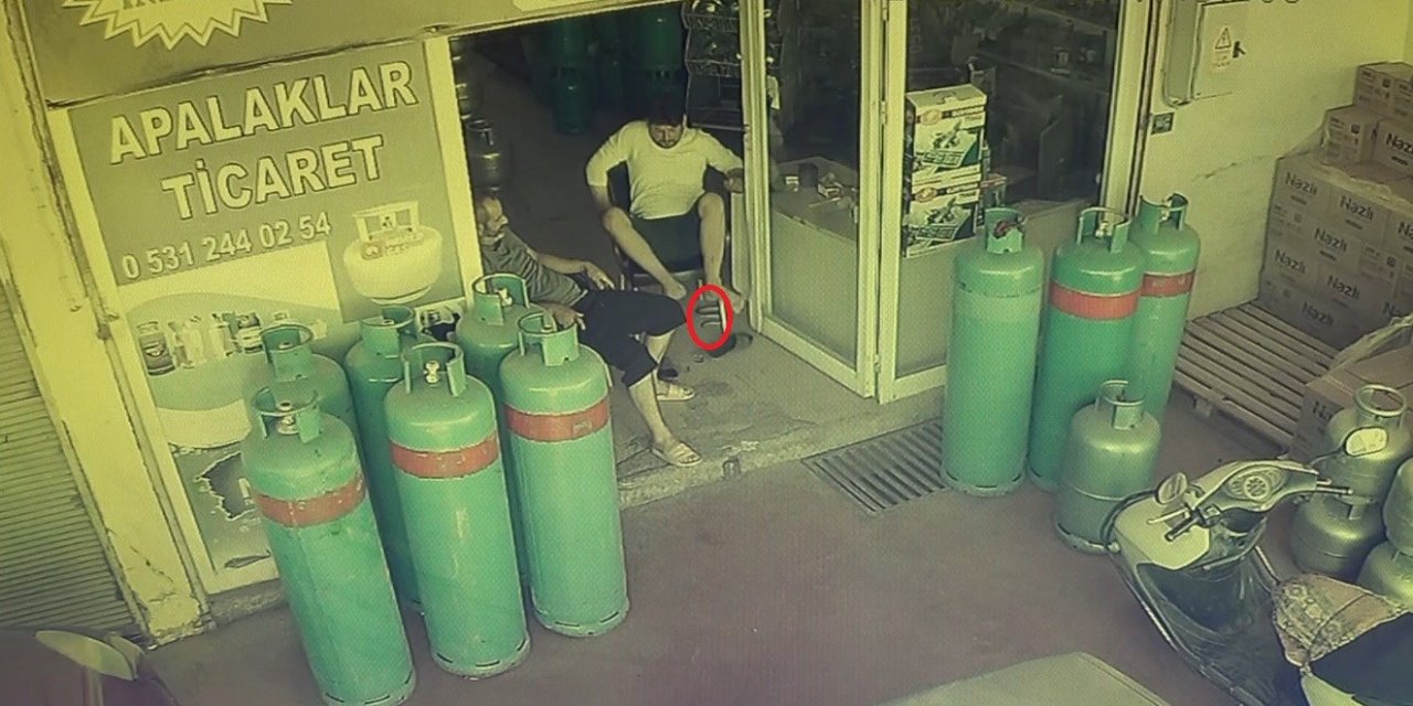 Yılan içeri, esnaf dışarı: O anlar kamerada