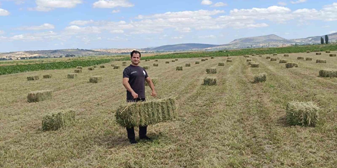 Beyşehir’de hibe destekli ekilen yem bitkilerinde hasat sürüyor