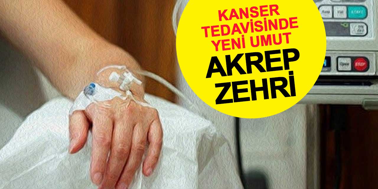 Kanser Tedavisinde Yeni Umut: Akrep Zehri