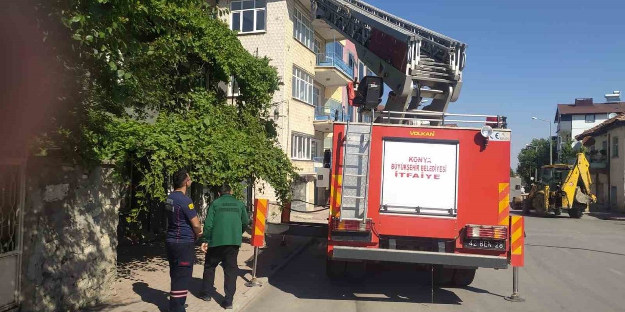 Beyşehir’de itfaiyenin kedi kurtarma seferberliği