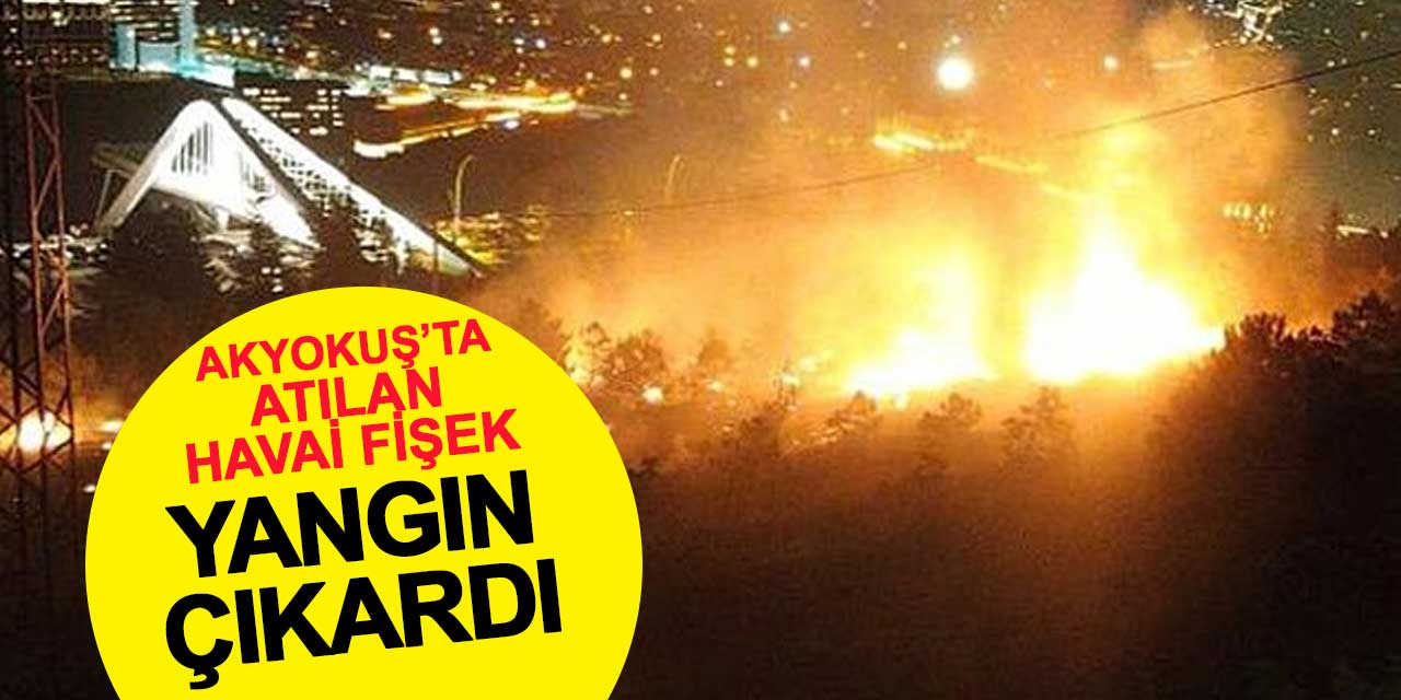Akyokuş'ta atılan havai fişek ağaçlık alanı yaktı