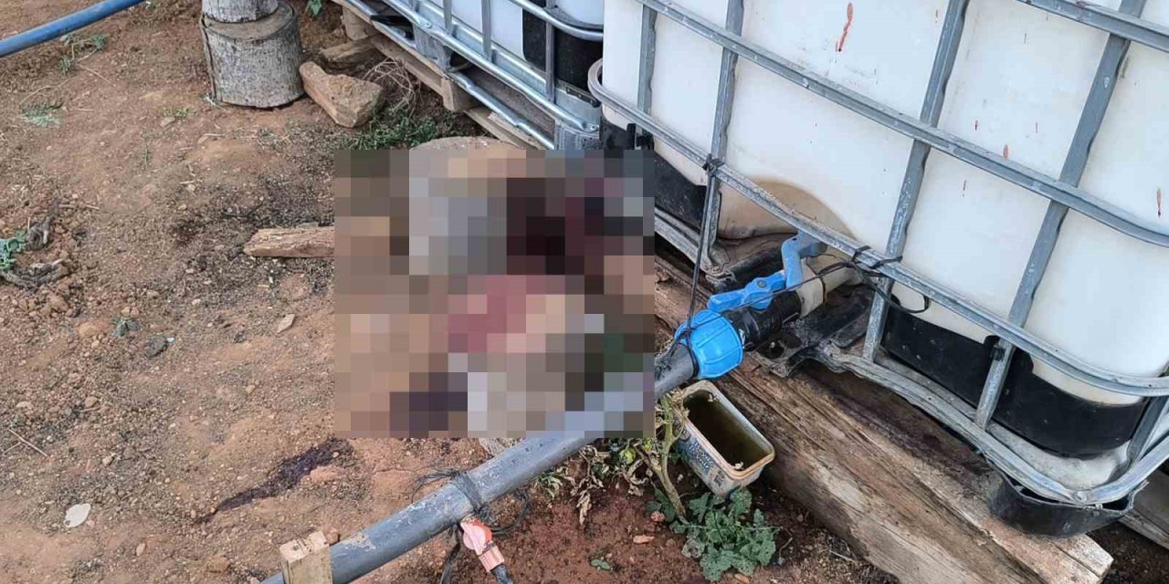 Bahçe sulama kavgasında komşusunu öldürdü