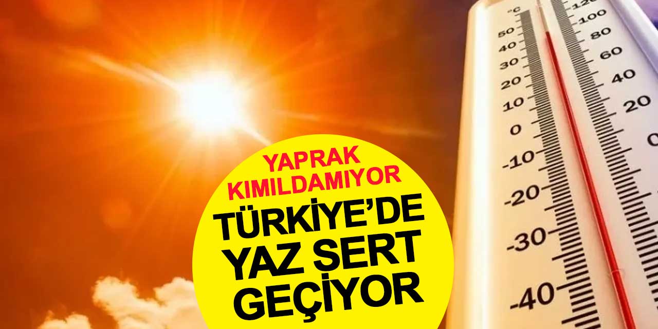 Yaprak Kımıldamıyor: Türkiye’de Yaz Sert Geçiyor