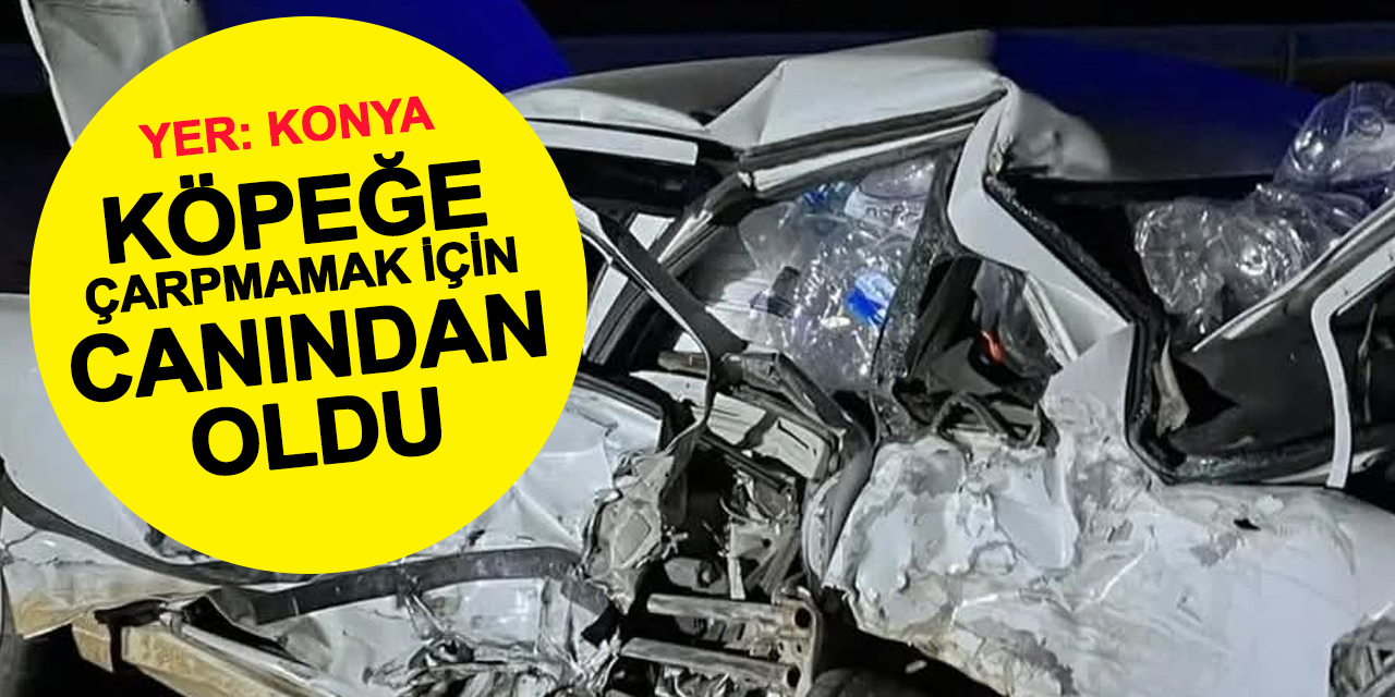 Cihanbeyli'de feci kaza: Köpeğe çarpan otomobile kamyon çarptı, Adnan Yayla hayatını kaybetti