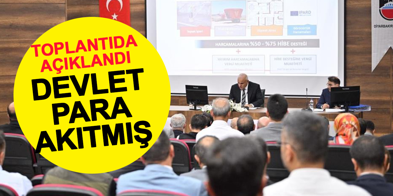 Devlet Diyarbakır'a Su Gibi Para Akıtmış