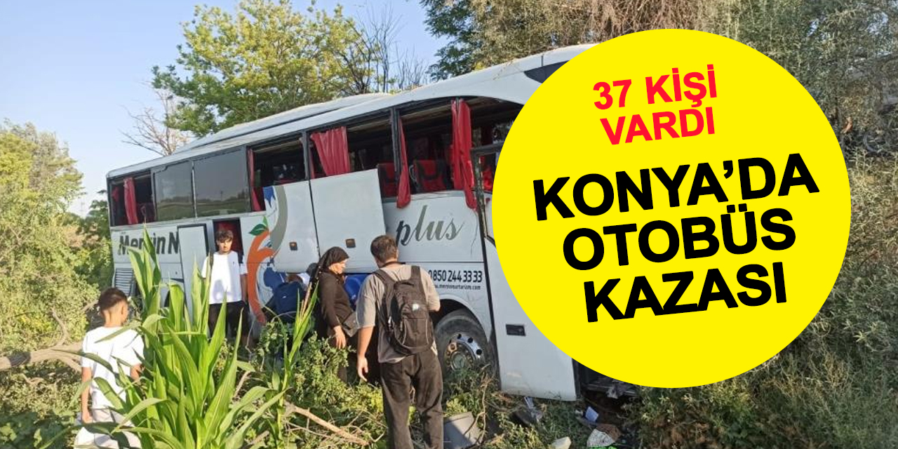 Otobüs otogarda değil şarampolde durdu