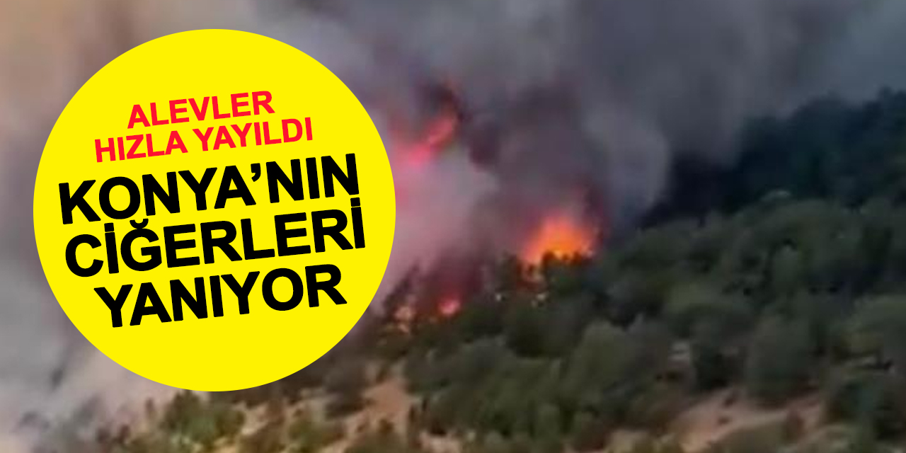 Konya'nın Ciğerleri Alev Alev Yanıyor