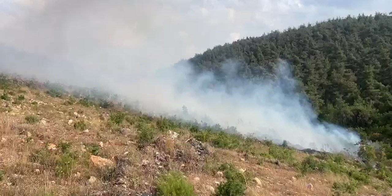 Aynı bölgede 15 günde 2’nci orman yangını