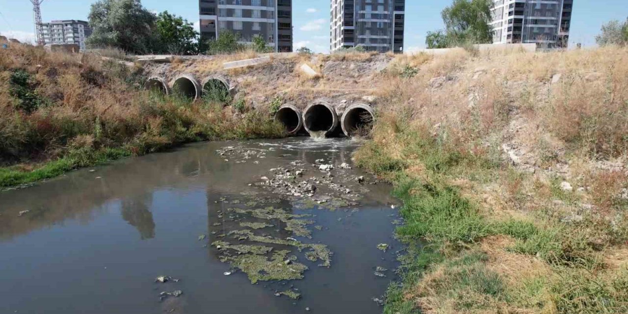 Mahalleli canından bezdi: Bir yanda sıcak, bir yanda koku
