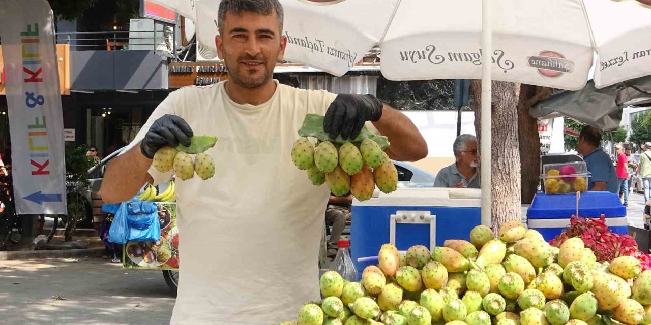 Doğada kendiliğinden yetişiyor, tanesi 10 liraya satılıyor