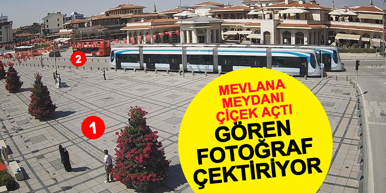 Mevlana Meydanı Çiçek Açtı