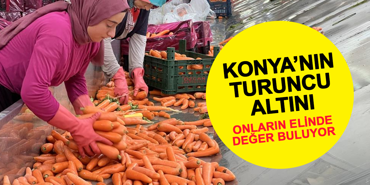 Konya'nın Turuncu Altını Kadınların Elinde Değer Buluyor
