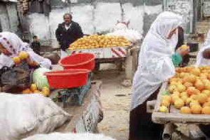 Gazze'de tank gölgesinde tarım