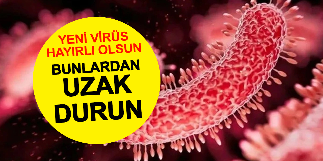 Yeni virüsümüz hayırlı olsun! Bu ürünlerden uzak durun
