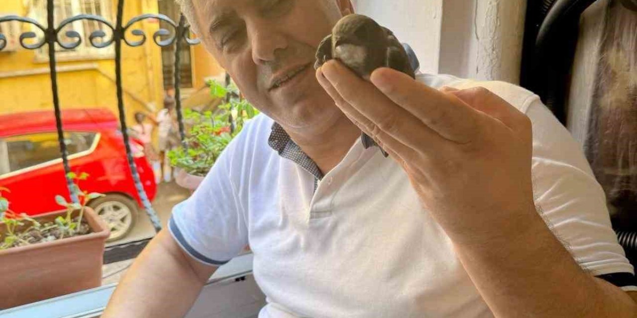 Tedavisini yaptığı ebabil kuşu 6 yıl sonra teşekküre geldi