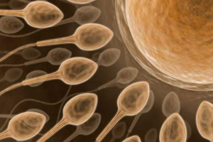 Spermin sağlığa faydası!