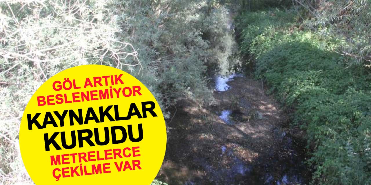 Su getiren kaynaklar kurudu: Canlılar tehlike altında