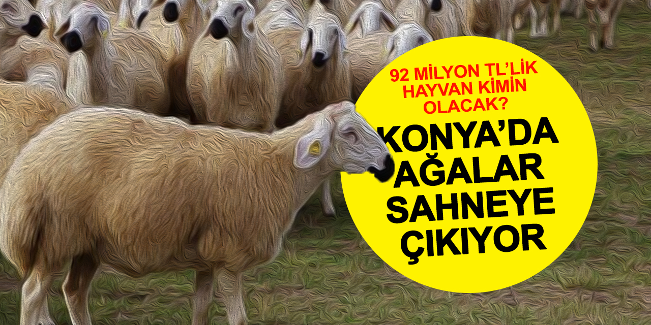 Konya'da Ağalar Sahneye Çıkıyor! 92 Milyonluk Hayvan Kimin Olacak?