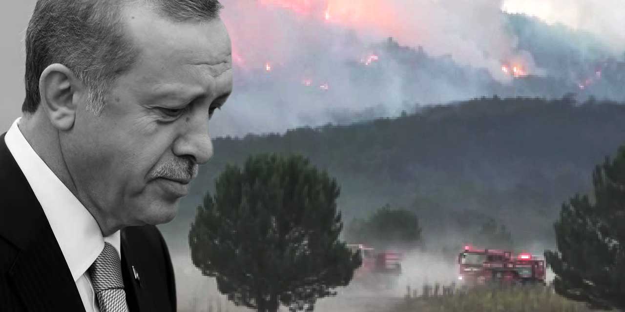 Cumhurbaşkanı Erdoğan’dan orman şehitleri için taziye mesajı