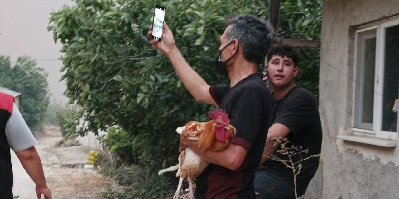 Alevler yaklaşınca horozunu kucağına alıp köyden kaçtı