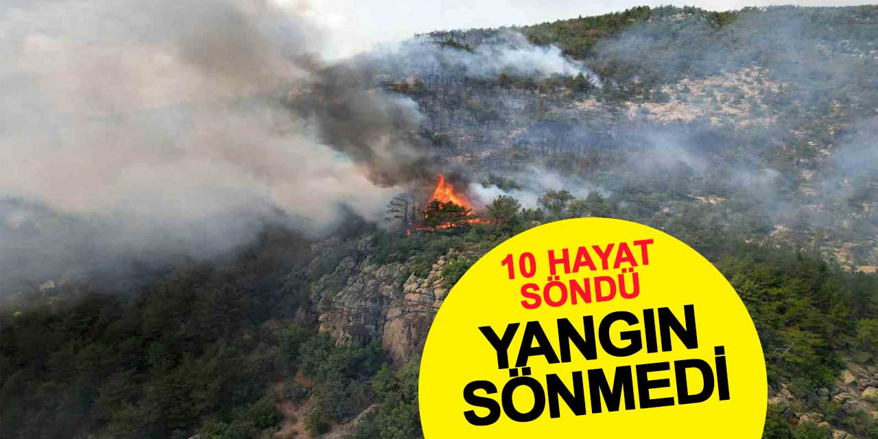 Alevler arasında 10 hayat söndü, yangın sönmedi