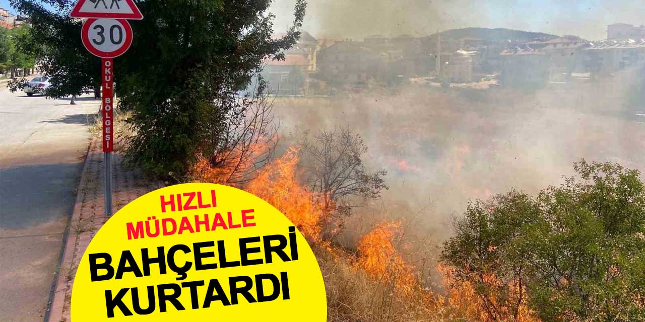 Otluk alanda yangın çıktı, hızlı müdahaleyle bahçeler kurtarıldı