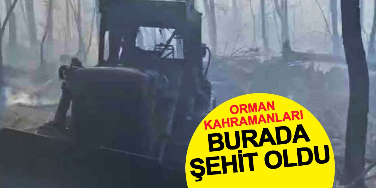 Orman kahramanları burada şehit oldu