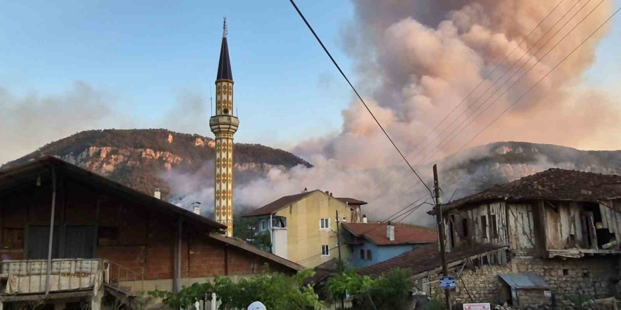Yemyeşil alanlar saatler içinde siyaha döndü