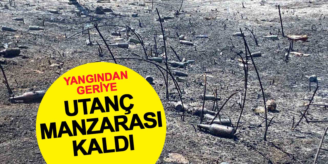 Yangından geriye utanç manzarası kaldı