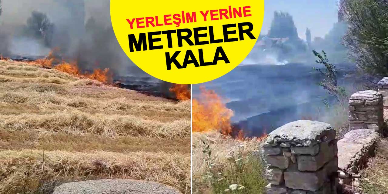 Beyşehir'deki yangın, yerleşim yerine metreler kala kontrol altına alındı