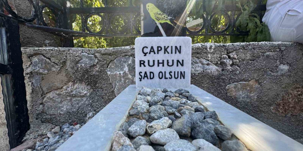 6 yıl besledikleri muhabbet kuşuna mermerden mezar yaptılar
