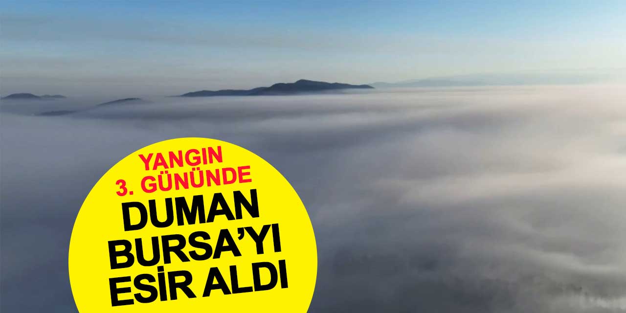 Rüzgar yok, duman Bursa'yı esir aldı