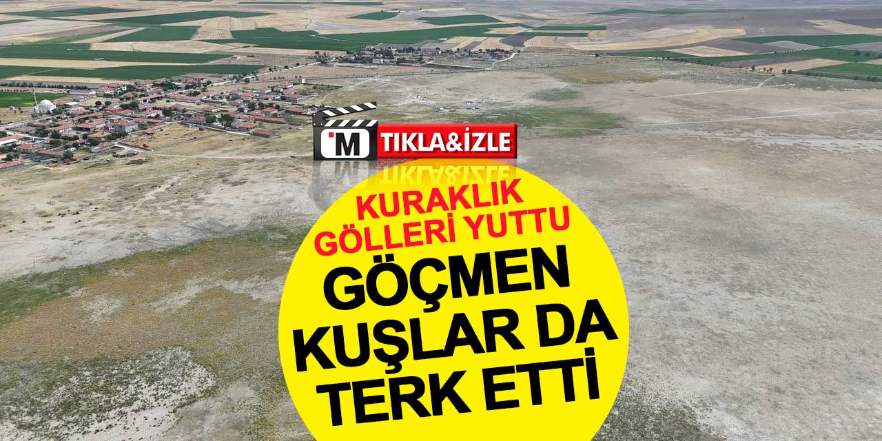 Kuraklık gölleri yuttu, göçmen kuşlar da terk etti