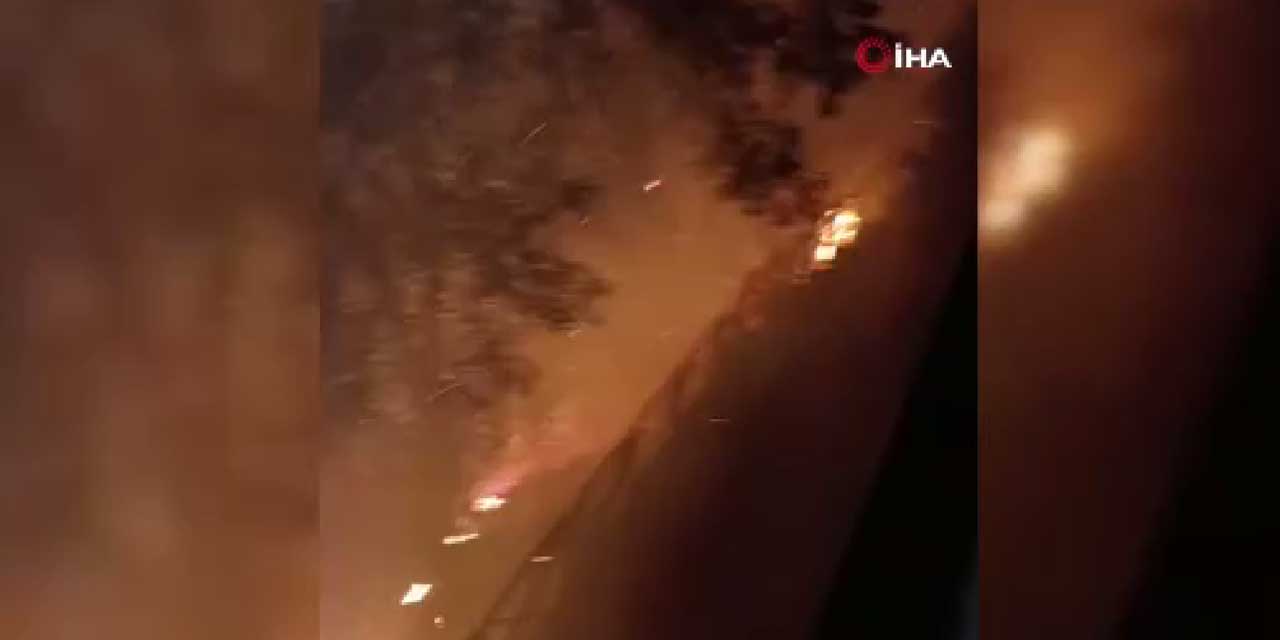 Kimse ders almıyor! Bursa'da havai fişek yangın çıkardı