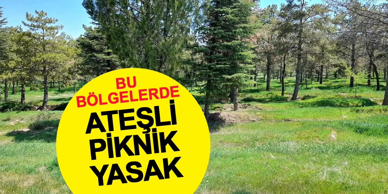 Konya AKOM’dan Kritik Uyarı: Bu Bölgelerde Ateşli piknik yasaklandı