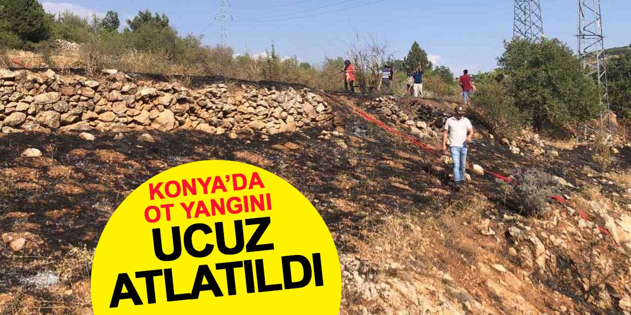 Konya'da ot yangını ucuz atlatıldı