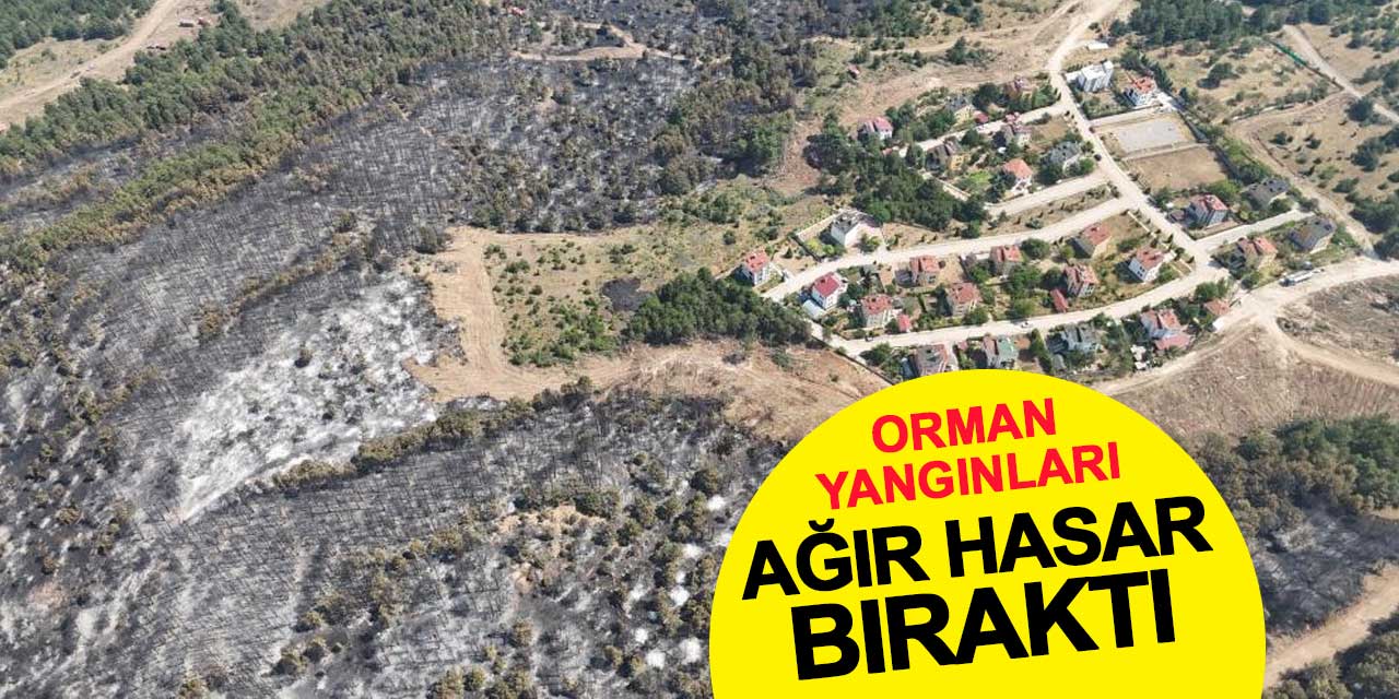 Orman yangınları arkasında ağır hasar bıraktı