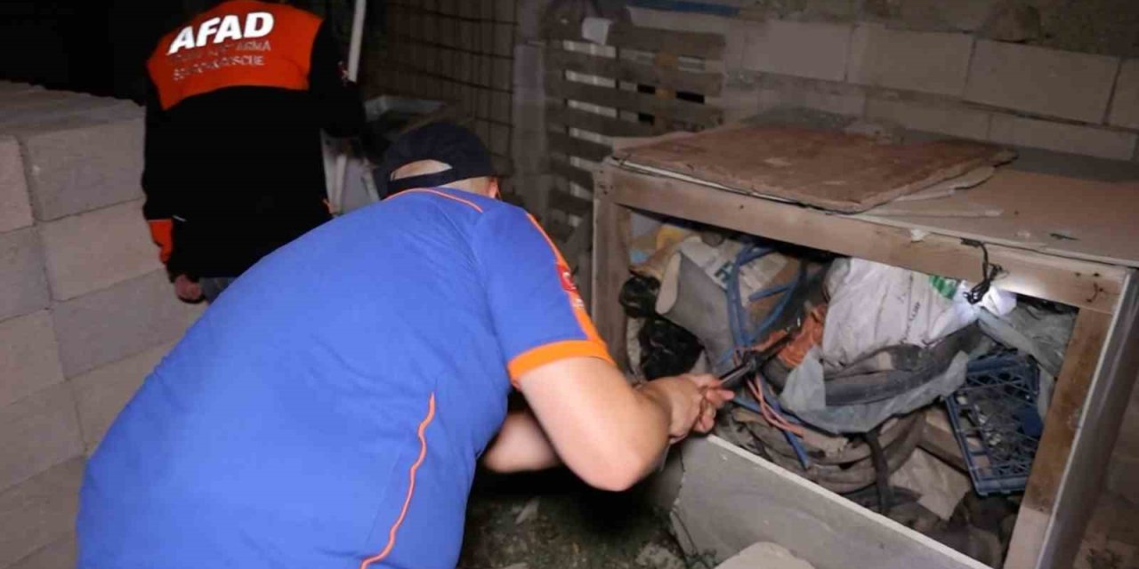 'Evimde yılan var' diyerek ekipleri seferber etti, cezayı yedi