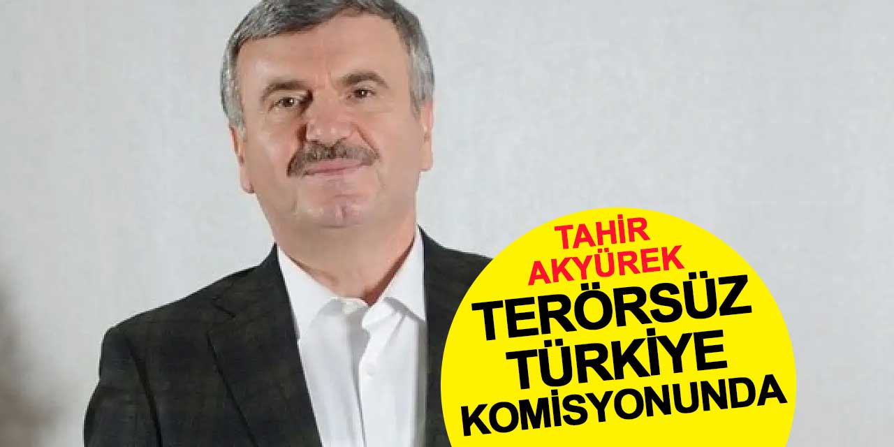 Tahir Akyürek, Terörsüz Türkiye Komisyonu'nda