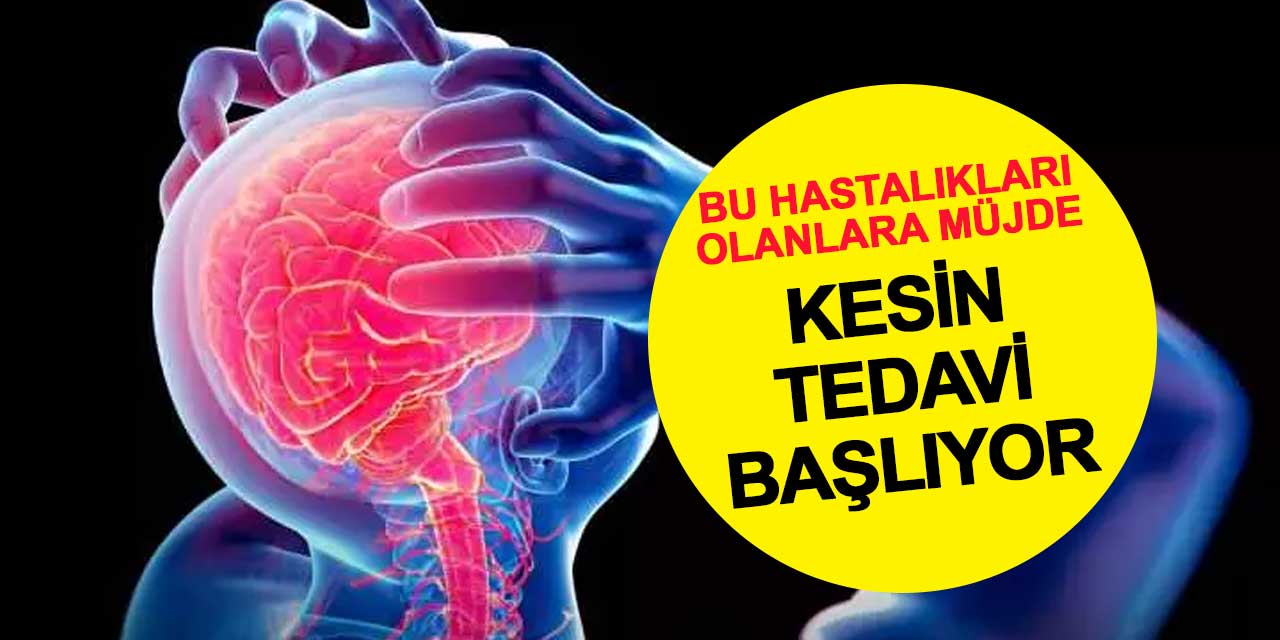TBMM’den kenevir düzenlemesi geçti: Tıbbi kenevir 15 hastalığın tedavisinde kullanılacak