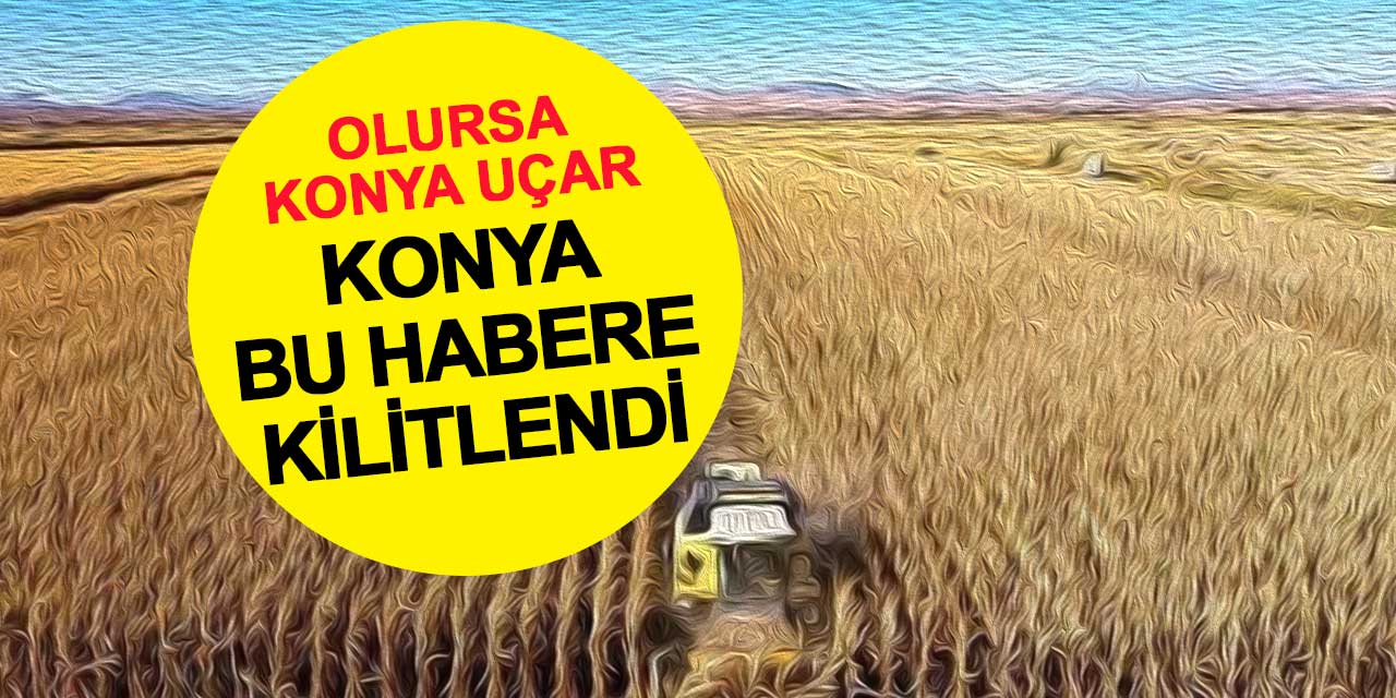 Bu Gelişme Konya’yı Uçurur: Genç Çiftçiye Bedelsiz Arazi ve Kredi Desteği Yolda