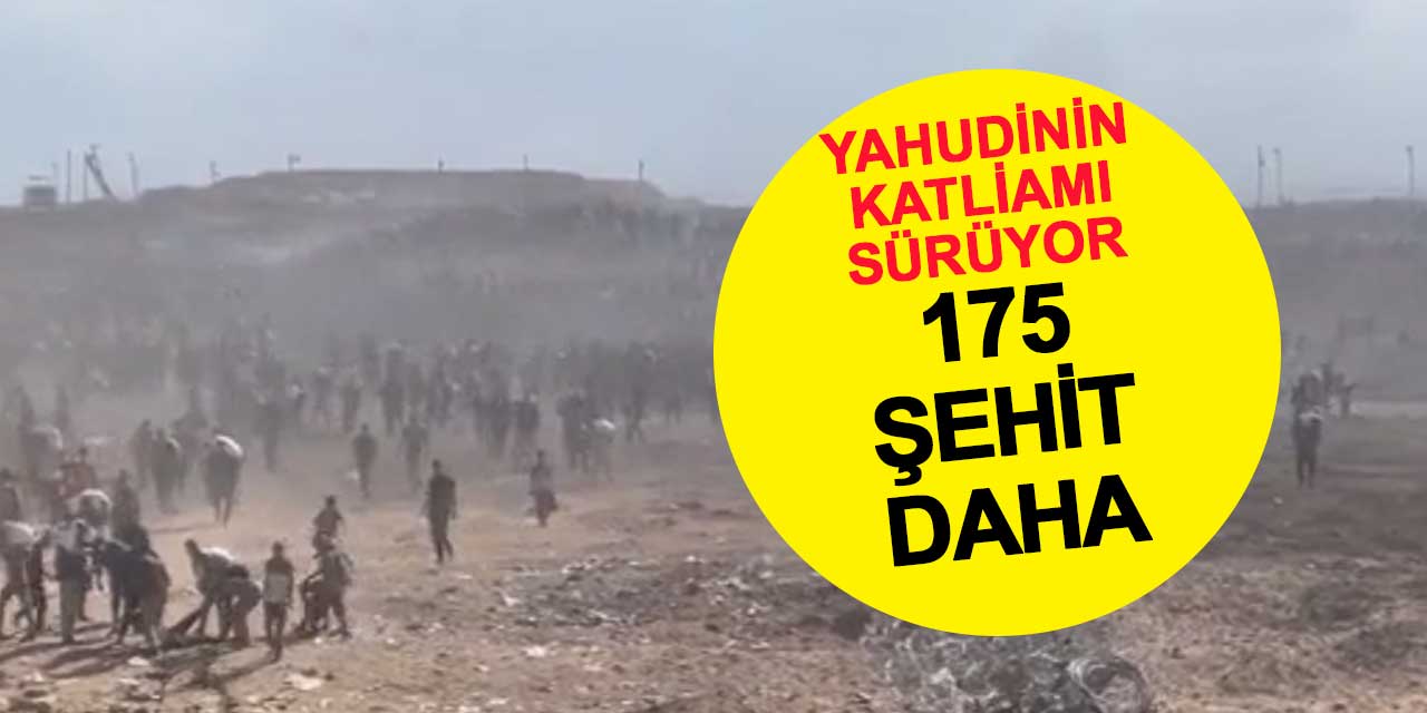 Yahudi'nin Katliamı Sürüyor: 175 Şehit Daha