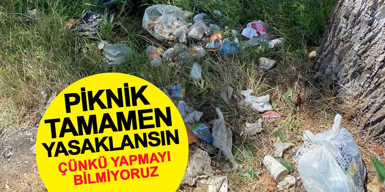 Piknik tamamen yasaklansın, çünkü yapmayı bilmiyoruz