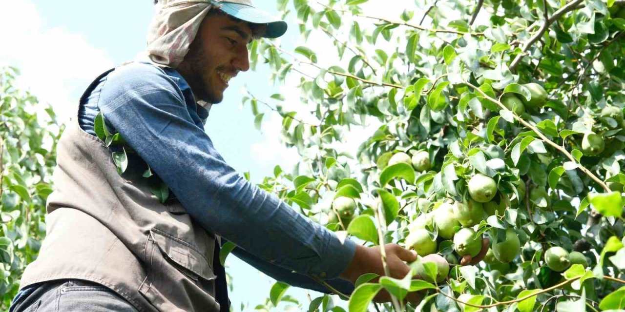 İtalyanlardan öğrenip İtalya'yı geride bıraktılar